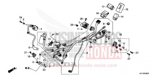 FAISCEAU DES FILS (CRF110FK/L/M/N) CRF110FK de 2019